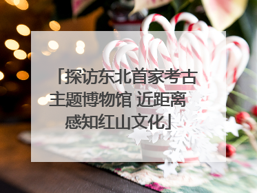 探访东北首家考古主题博物馆 近距离感知红山文化