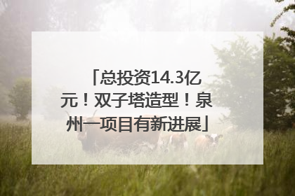 总投资14.3亿元！双子塔造型！泉州一项目有新进展