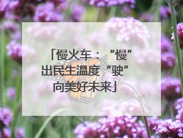 慢火车：“慢”出民生温度“驶”向美好未来