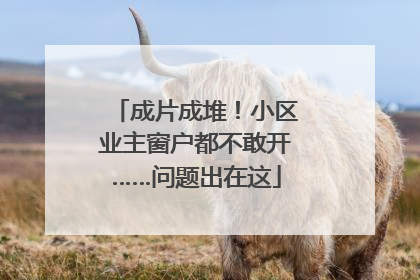成片成堆！小区业主窗户都不敢开……问题出在这