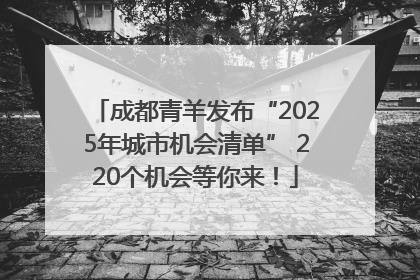 成都青羊发布“2025年城市机会清单” 220个机会等你来！
