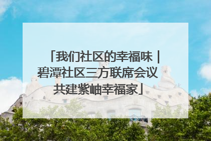 我们社区的幸福味｜碧潭社区三方联席会议共建紫岫幸福家