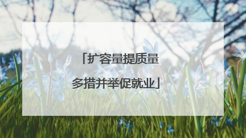 扩容量提质量 多措并举促就业