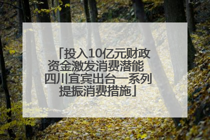 投入10亿元财政资金激发消费潜能 四川宜宾出台一系列提振消费措施
