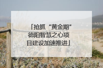抢抓“黄金期” 德阳智慧之心项目建设加速推进