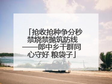 抢收抢种争分秒 禁烧禁抛筑防线——郎中乡干群同心守好 粮袋子