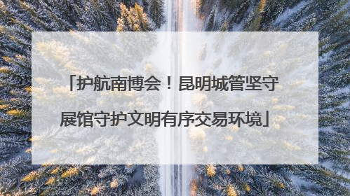 护航南博会！昆明城管坚守展馆守护文明有序交易环境