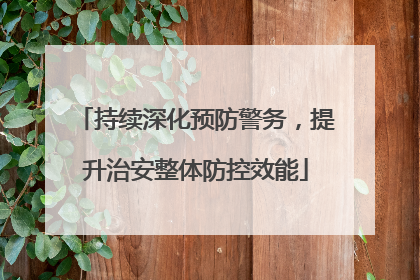 持续深化预防警务，提升治安整体防控效能