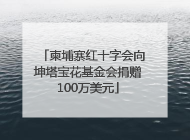 柬埔寨红十字会向坤塔宝花基金会捐赠100万美元
