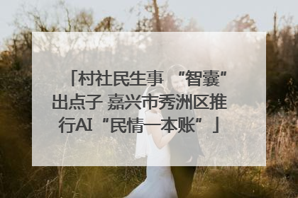 村社民生事 “智囊”出点子 嘉兴市秀洲区推行AI“民情一本账”