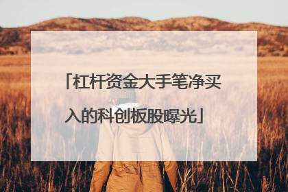 杠杆资金大手笔净买入的科创板股曝光