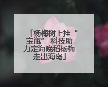 杨梅树上挂“宝瓶” 科技助力定海晚稻杨梅走出海岛