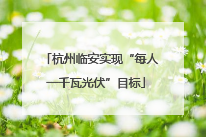 杭州临安实现“每人一千瓦光伏”目标