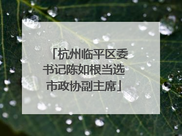 杭州临平区委书记陈如根当选市政协副主席