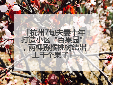 杭州7旬夫妻十年打造小区“百果园”，两棵猕猴桃树结出上千个果子