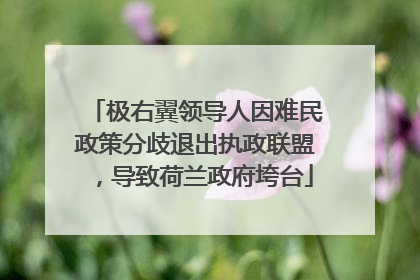 极右翼领导人因难民政策分歧退出执政联盟，导致荷兰政府垮台