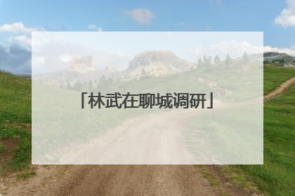 林武在聊城调研