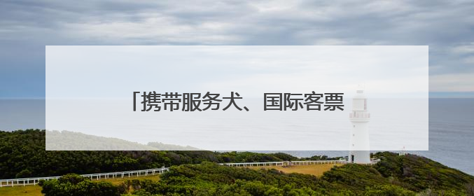 携带服务犬、国际客票预订……鸿蒙版中国国航让更多用户心愿成真