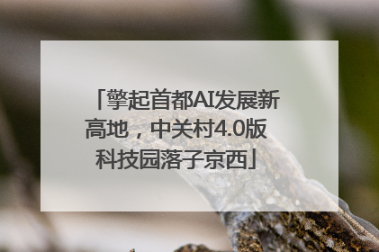 擎起首都AI发展新高地，中关村4.0版科技园落子京西