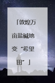 敦煌万亩盐碱地变“希望田”