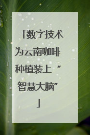 数字技术为云南咖啡种植装上“智慧大脑”