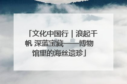 文化中国行｜浪起千帆 深蓝宝藏——博物馆里的海丝遗珍