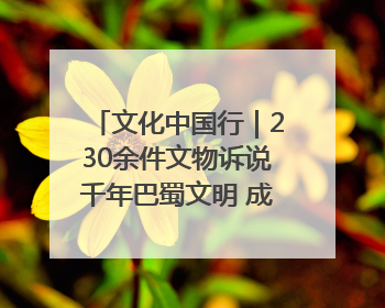 文化中国行｜230余件文物诉说千年巴蜀文明 成渝地区基建考古成果展开展