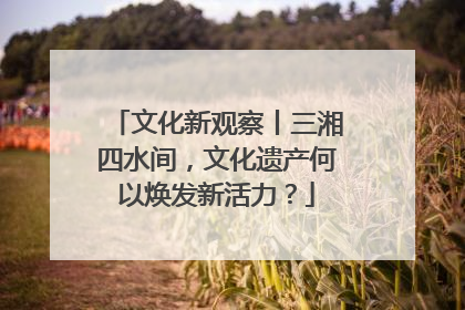 文化新观察丨三湘四水间，文化遗产何以焕发新活力？
