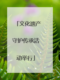 文化遗产守护传承活动举行