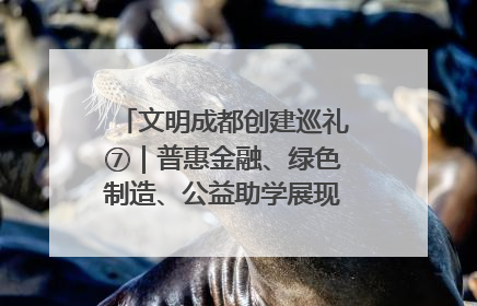 文明成都创建巡礼⑦｜普惠金融、绿色制造、公益助学展现城市文明底色