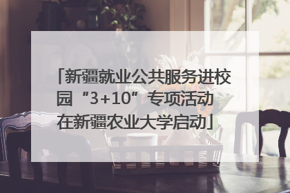 新疆就业公共服务进校园“3+10”专项活动在新疆农业大学启动