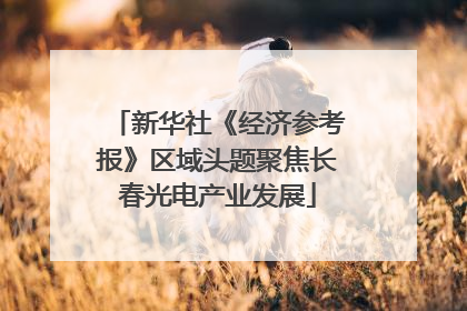 新华社《经济参考报》区域头题聚焦长春光电产业发展