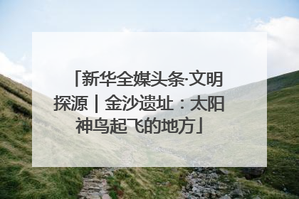 新华全媒头条·文明探源｜金沙遗址：太阳神鸟起飞的地方