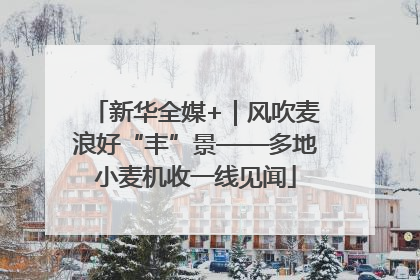 新华全媒+｜风吹麦浪好“丰”景——多地小麦机收一线见闻