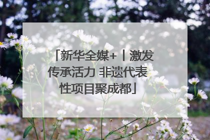 新华全媒+丨激发传承活力 非遗代表性项目聚成都