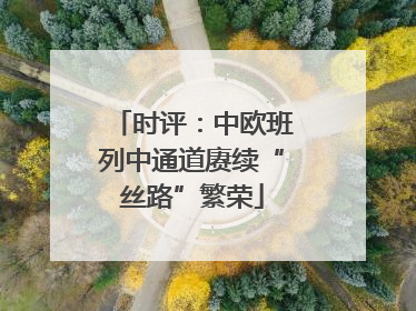 时评：中欧班列中通道赓续“丝路”繁荣