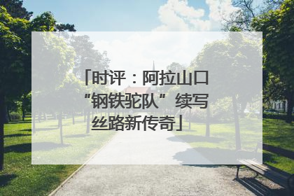 时评：阿拉山口“钢铁驼队”续写丝路新传奇