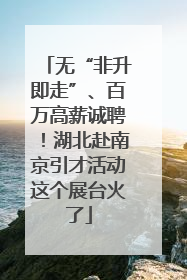 无“非升即走”、百万高薪诚聘！湖北赴南京引才活动这个展台火了