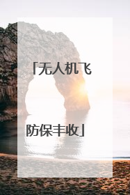 无人机飞防保丰收