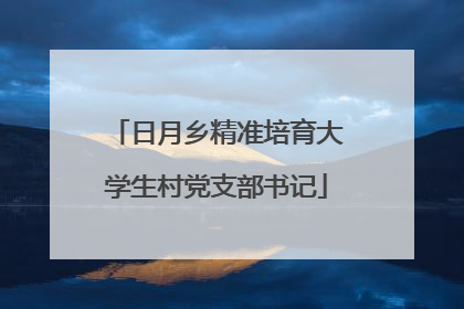 日月乡精准培育大学生村党支部书记