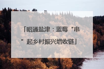 昭通盐津：蓝莓“串”起乡村振兴增收链