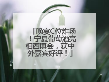 晚宴C位炸场！宁夏葡萄酒亮相西博会，获中外嘉宾好评！