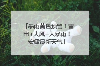 暴雨黄色预警！雷电+大风+大暴雨！安徽最新天气