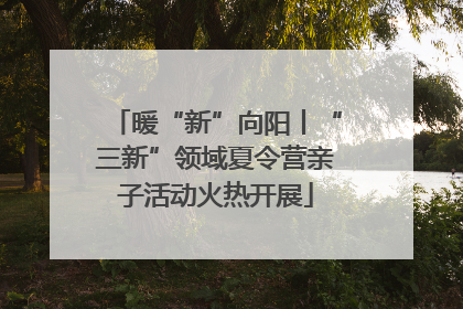 暖“新”向阳丨“三新”领域夏令营亲子活动火热开展