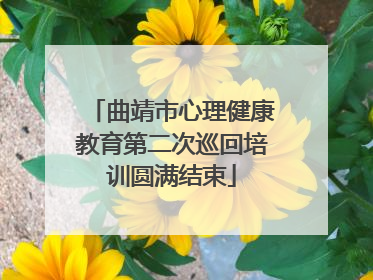曲靖市心理健康教育第二次巡回培训圆满结束