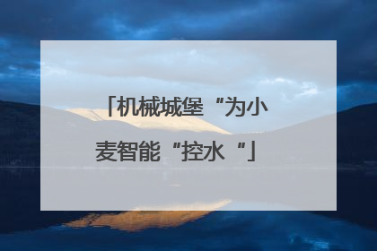 机械城堡“为小麦智能“控水“