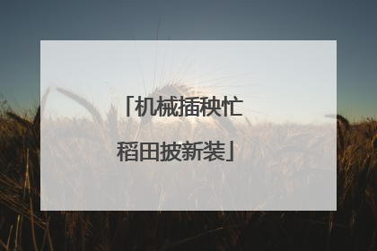 机械插秧忙 稻田披新装
