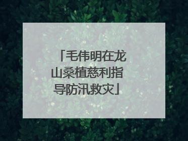 毛伟明在龙山桑植慈利指导防汛救灾