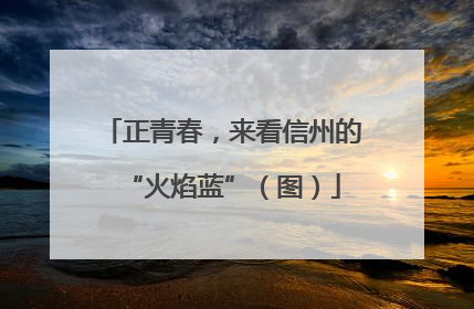 正青春，来看信州的“火焰蓝”（图）