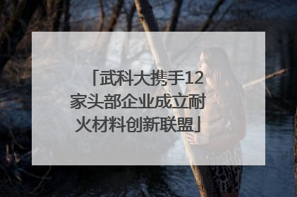 武科大携手12家头部企业成立耐火材料创新联盟